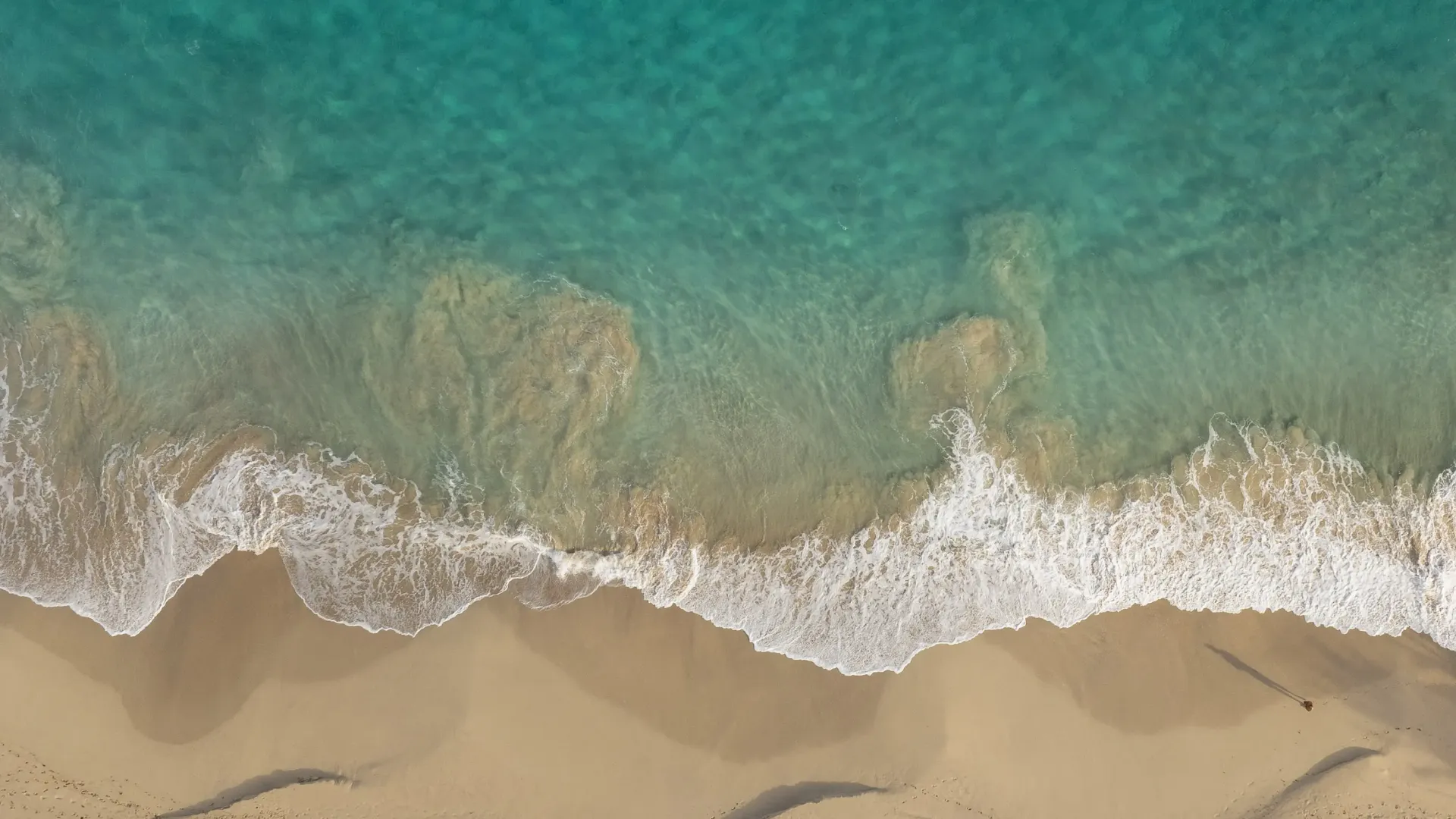 Shoreline seen from above