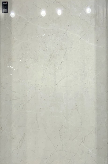 ALGARIA OYSTER In a room