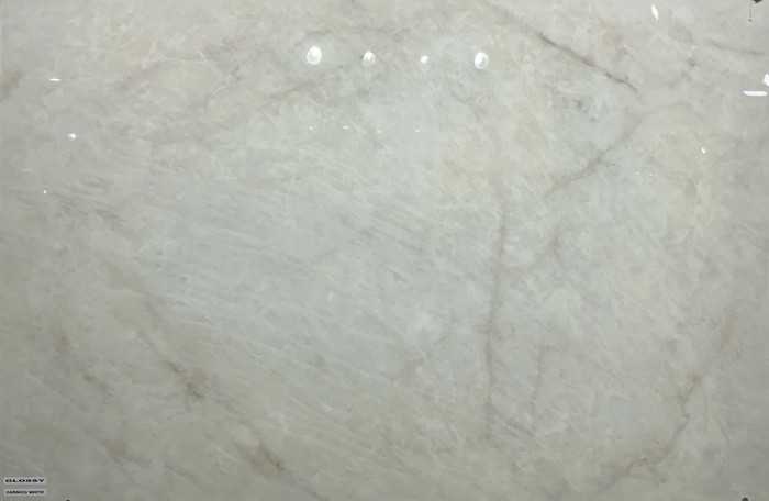 CARNICO WHITE In a room