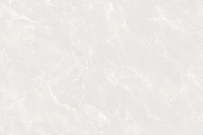 ENCILLIA BIANCO Design