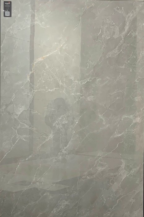 ENCILLIA GREY In a room