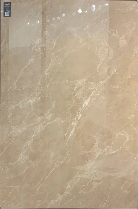 ENCILLIA TAUPE In a room