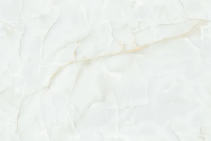 OYSTER ONYX MINT tile