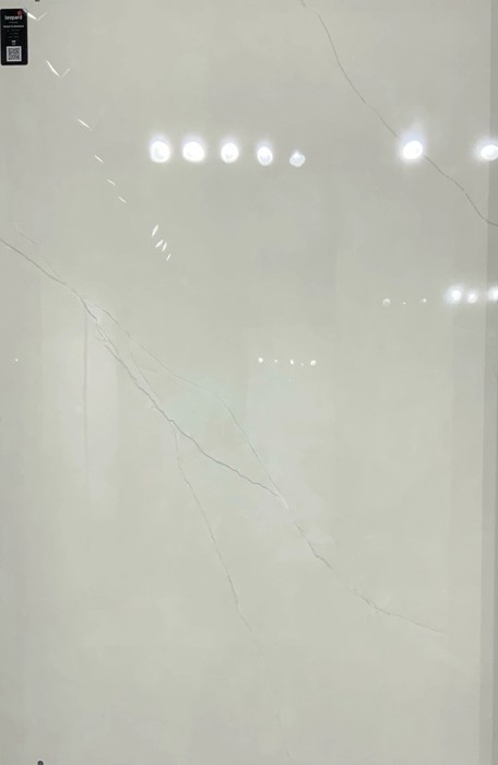 REGATO BIANCO In a room