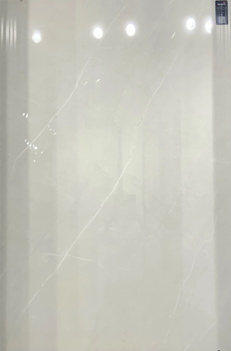 ROYAL ARMANI SILVER In a room