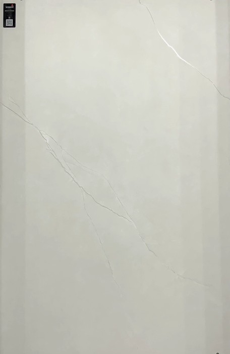 REGATO BIANCO In a room