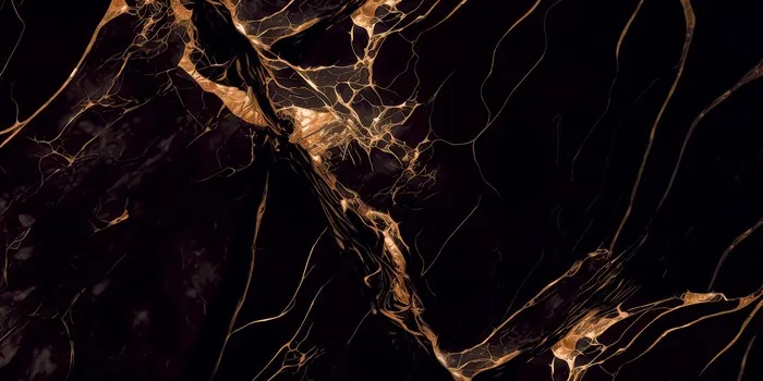 SHG_CARTER LAVA Design