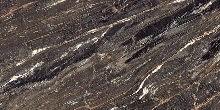 SHG_CASTOR GOLD Design