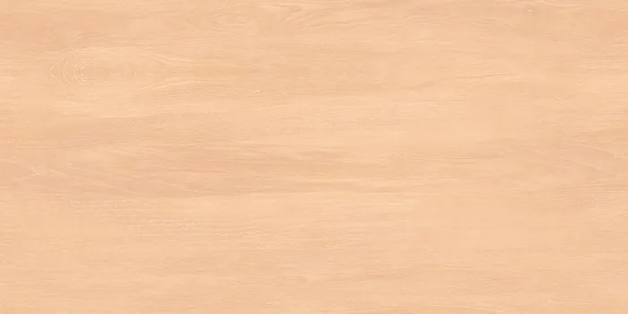 EMR_DIOR WOOD BEIGE Design