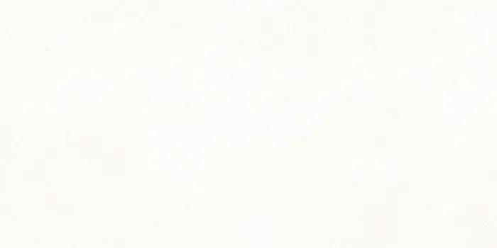 MR_ZESTY WHITE Design
