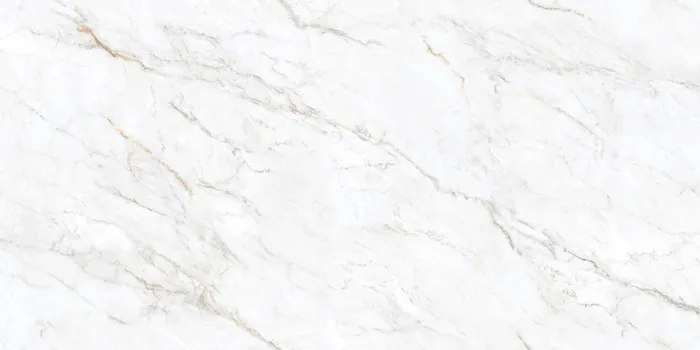 PM_ARDEN WHITE Design