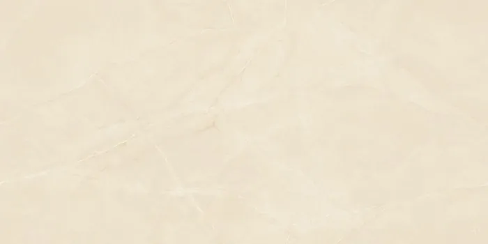 PM_OMINI BEIGE Design