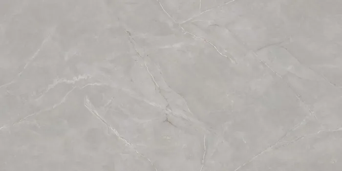 PM_OMINI GREY Design