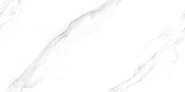 PM_STATUARIO ORACLE Design