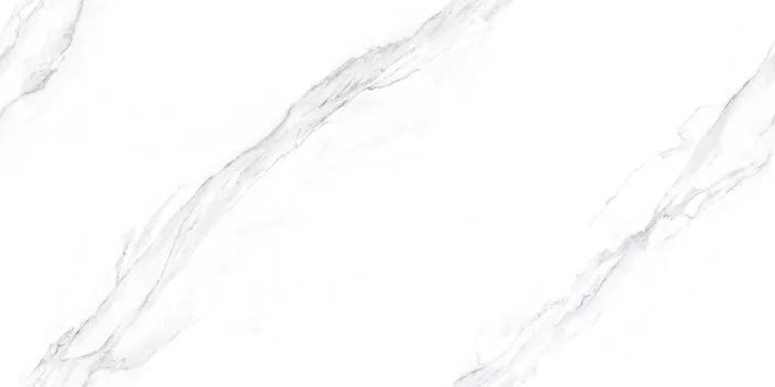 PM_STATUARIO ORACLE Design