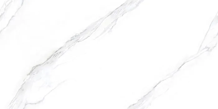 PM_STATUARIO ORACLE Design