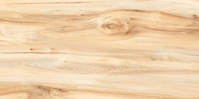 6367 Design