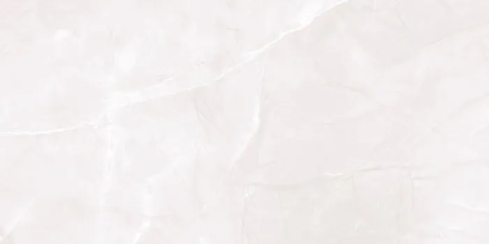 6449 Design