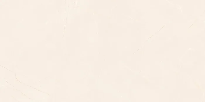 6463 Design