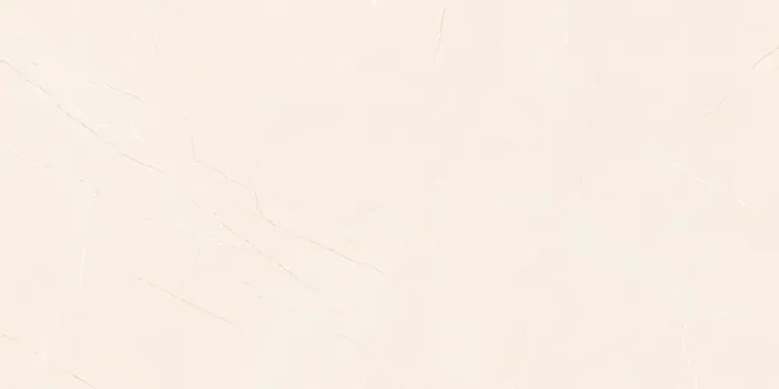 6463 Design