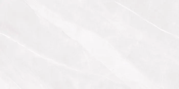 6466 Design