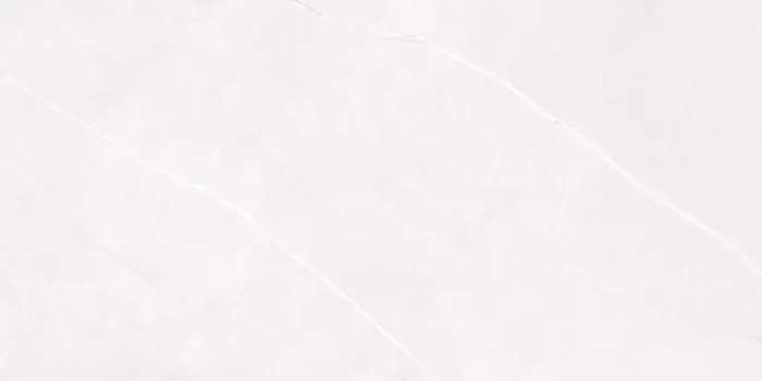 6466 Design