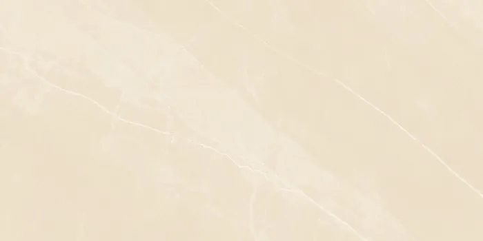 6519 Design