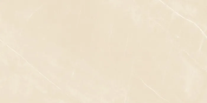6519 Design