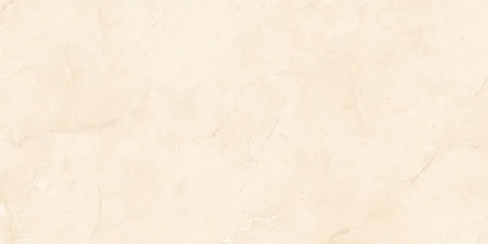 6521 Design