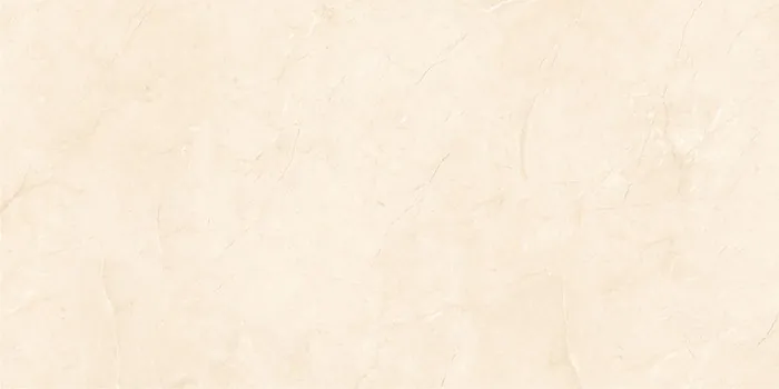 6521 Design