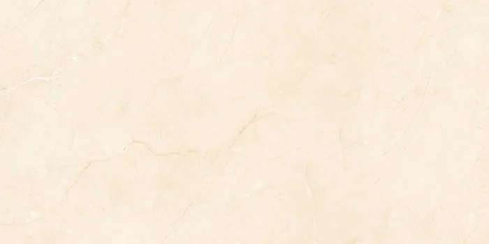 6521 Design