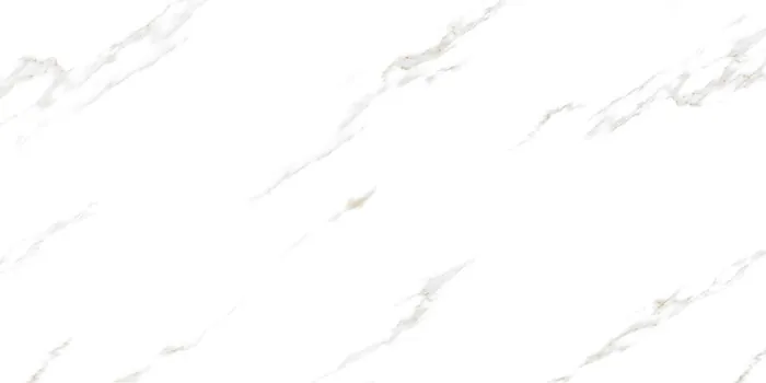 6589 Design