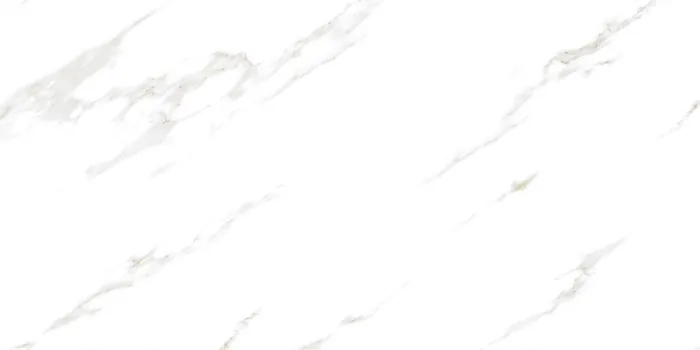 6589 Design