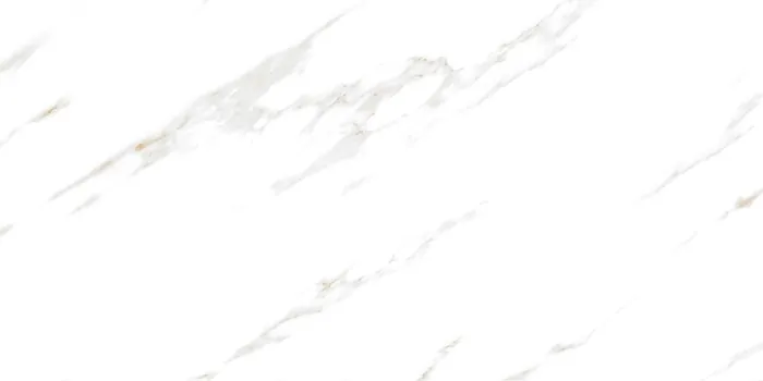 6589 Design
