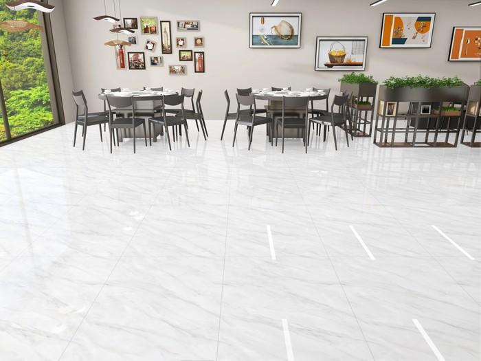 IC-16098 (JASPER WHITE) tile