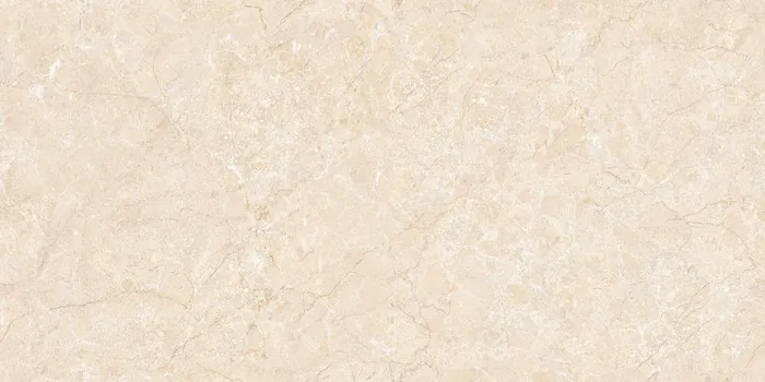 IC-16099 (LISA BEIGE) Design