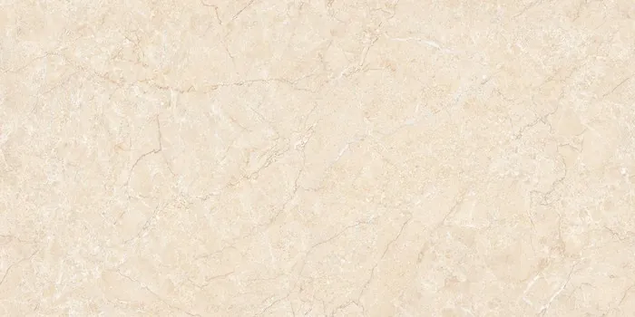 IC-16099 (LISA BEIGE) Design