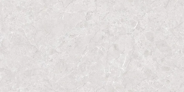 IC-16101 LISA SILVER Design