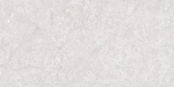 IC-16101 LISA SILVER Design