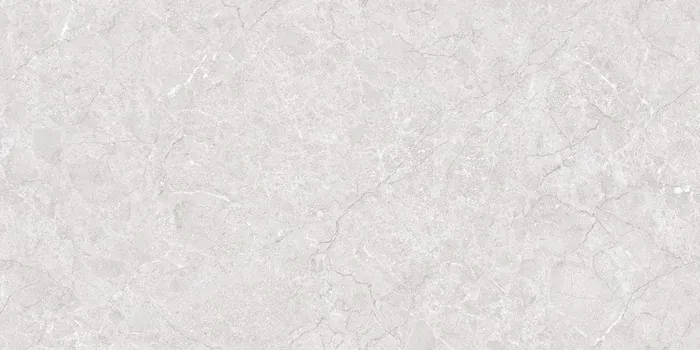 IC-16101 LISA SILVER Design