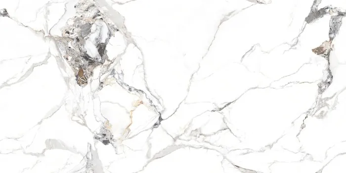 IC_CELEBRA-WHITE Design