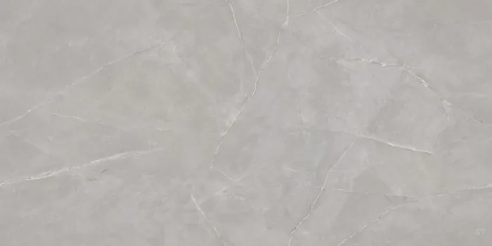 IC_OMINI GREY Design