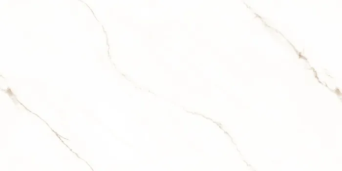 IC_STATUARIO SEGNETIC GOLD F6 Design