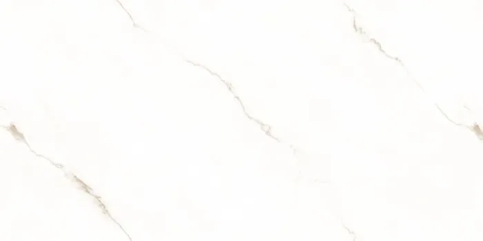 IC_STATUARIO SEGNETIC GOLD F6 Design