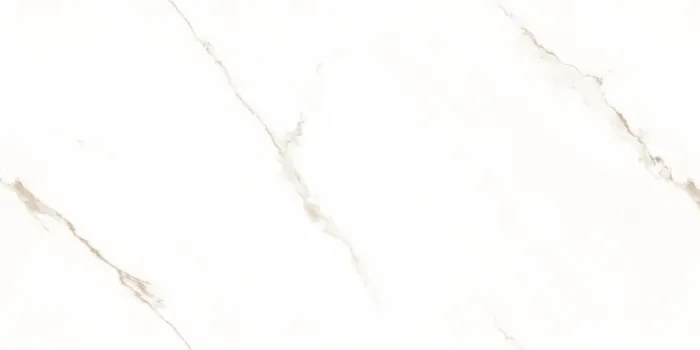 IC_STATUARIO SEGNETIC GOLD F6 Design