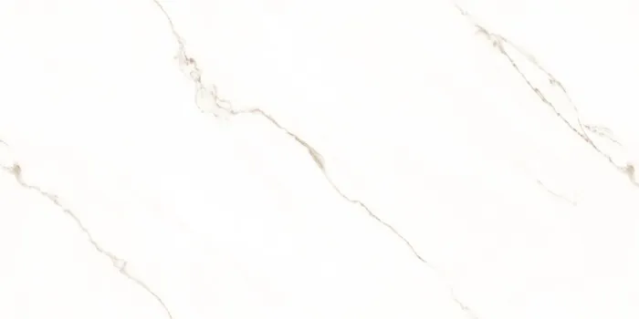 IC_STATUARIO SEGNETIC GOLD F6 Design