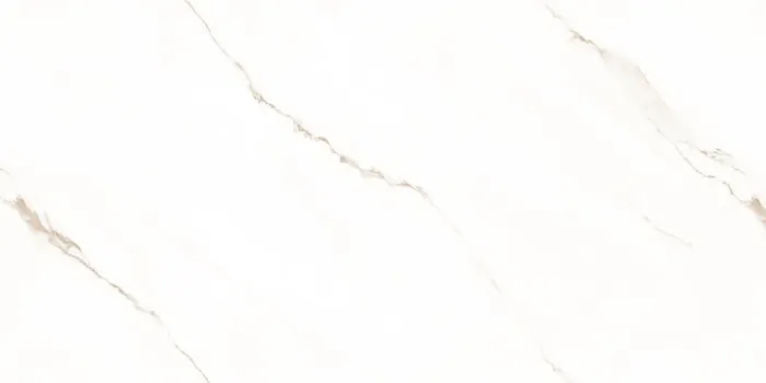 IC_STATUARIO SEGNETIC GOLD F6 Design