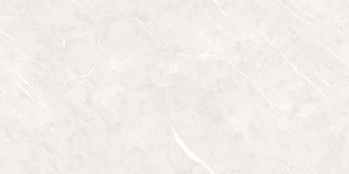 DG_DION BIANCO Design