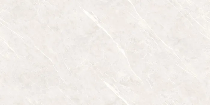 DG_DION BIANCO Design