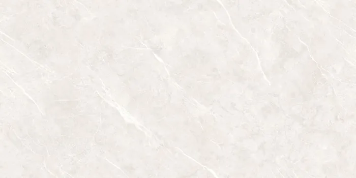 DG_DION BIANCO Design